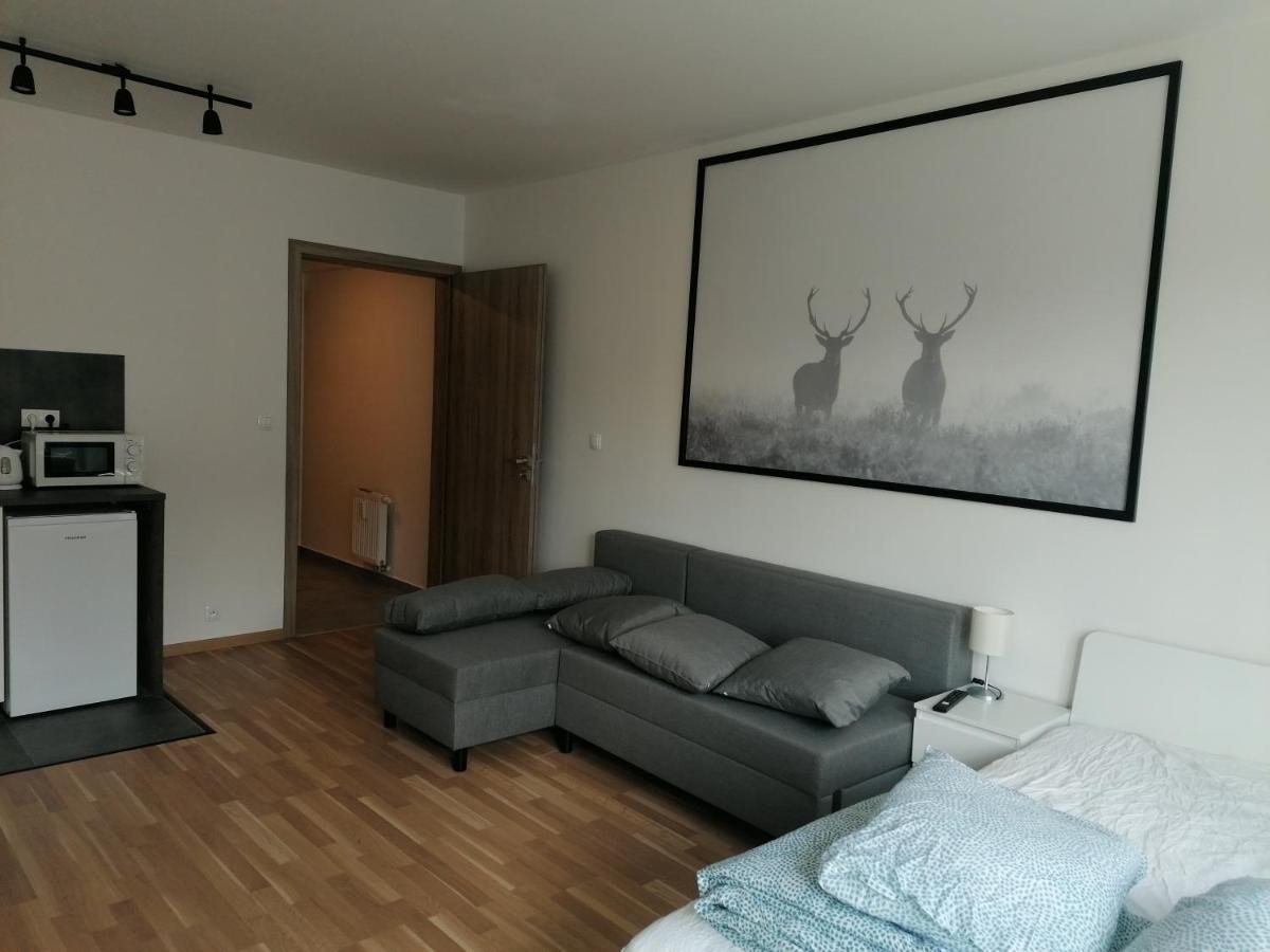 Brand New Studio Apartment #21 With Free Secure Parking In The Center براغ المظهر الخارجي الصورة